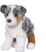 Steward Australian Shepherd