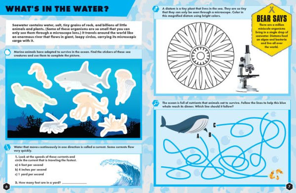 Under the Sea Bear Grylls Activity Book