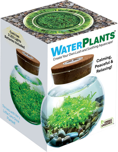 WaterPlants Create Your Own Aquascape