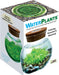 WaterPlants Create Your Own Aquascape
