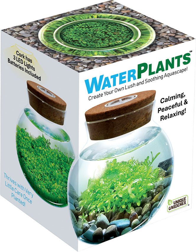 WaterPlants Create Your Own Aquascape
