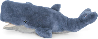 Wayfare - Whale
