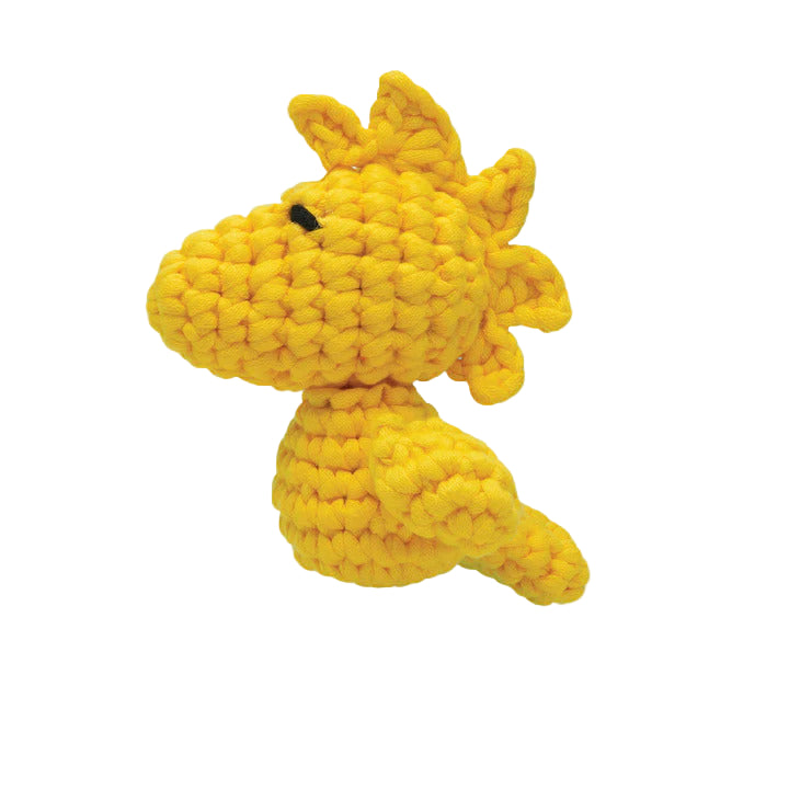 Woodstock Beginner Crochet Kit