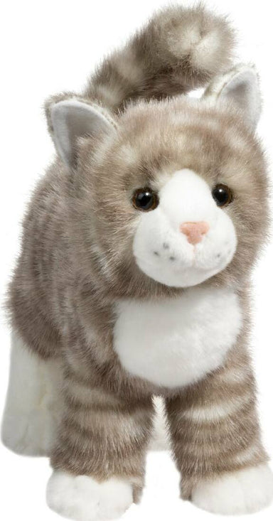 Zipper Gray Tabby Cat