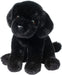 Ford Black Lab