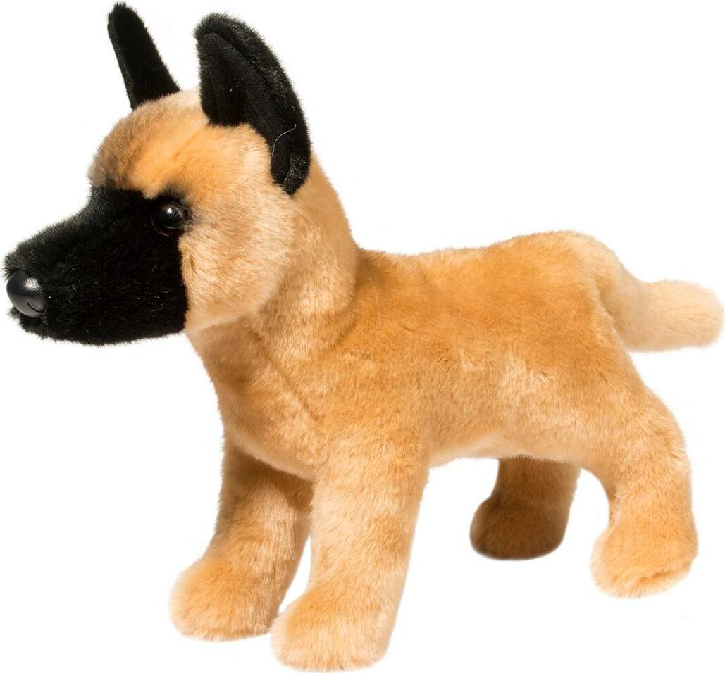 Klaus Belgian Malinois