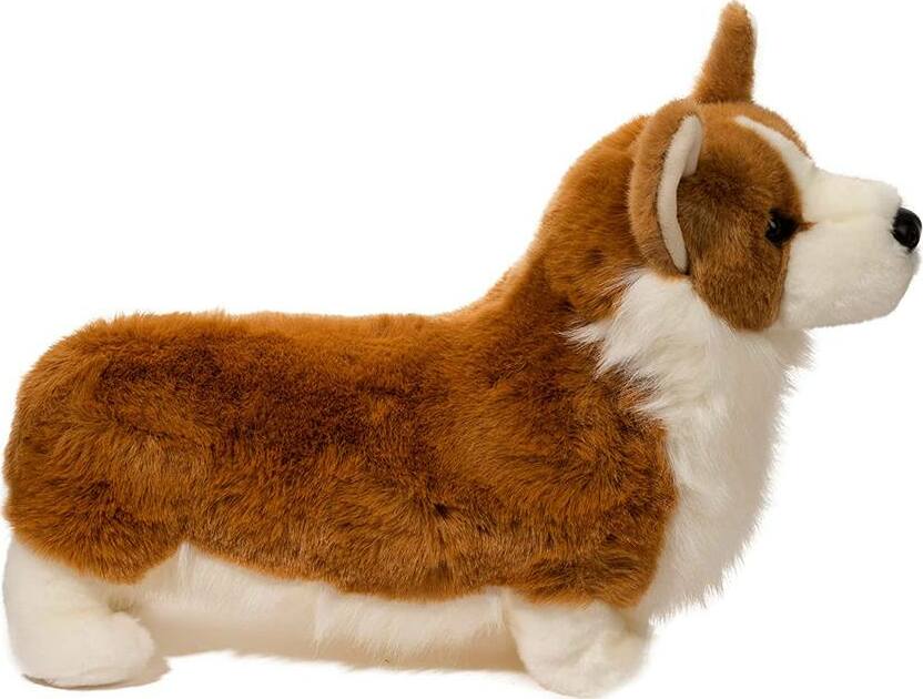 Chadwick Corgi