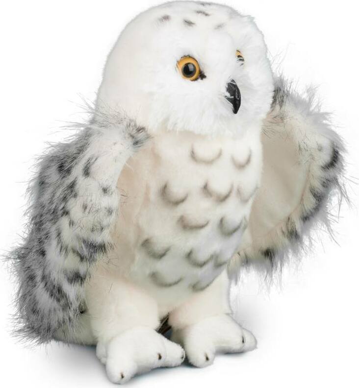 Legend Snowy Owl
