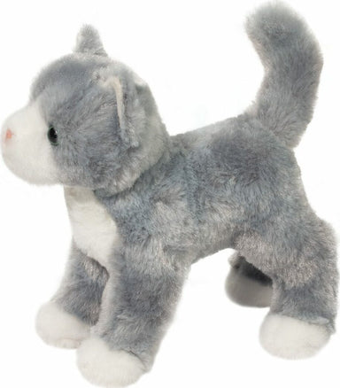 Scatter Gray Cat