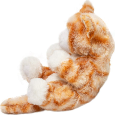 Lil? Baby Orange Stripe Kitten