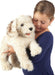 Labradoodle Hand Puppet