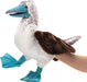 Blue-Footed Booby Puppet