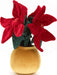 Amuseable Poinsettia