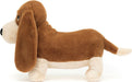 Randall Basset Hound