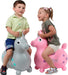 Rody Unicorn Pink