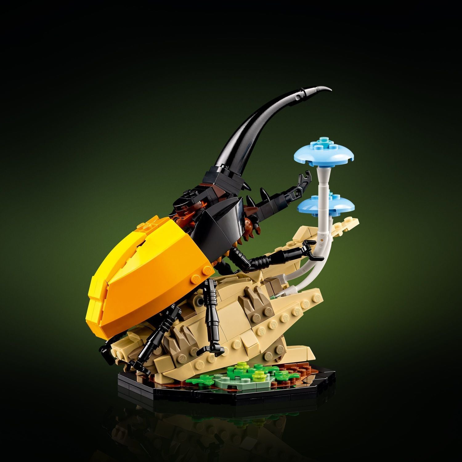 LEGO Ideas: The Insect Collection