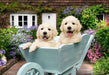 Golden Retriever Puzzle (200 pc)
