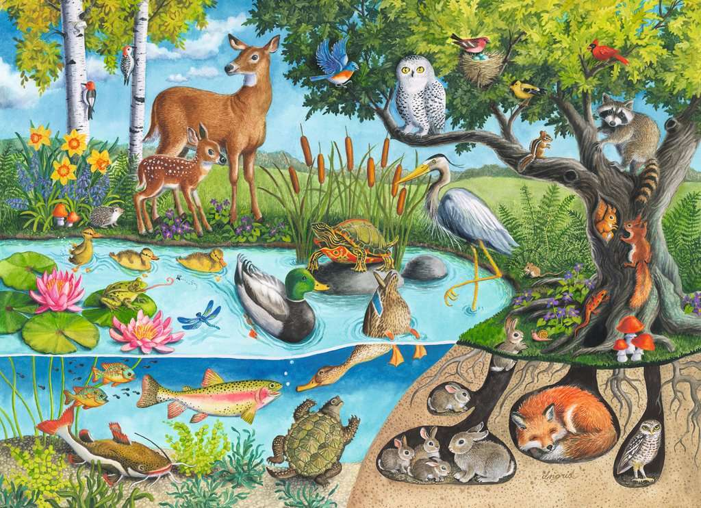 Animals Above and Below 60 Pc Puzzle