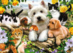 Happy Animal Buddies