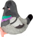 Mini Squishable Pigeon