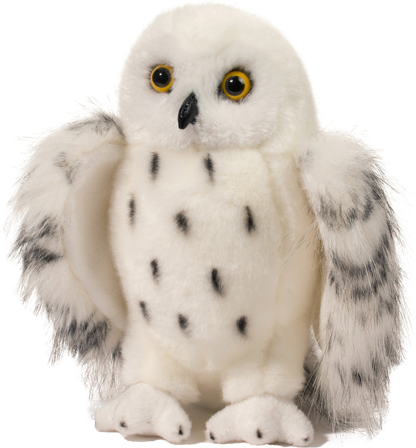 Douglas Wizard White Owl