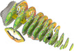 Eugy Chameleon 3D Cardboard Model Kit