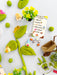 Seek & Find Backyard Bug KidDough Play Kit