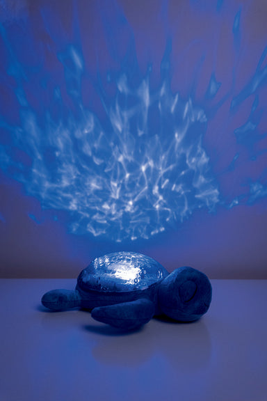 Cloud b Tranquil Turtle