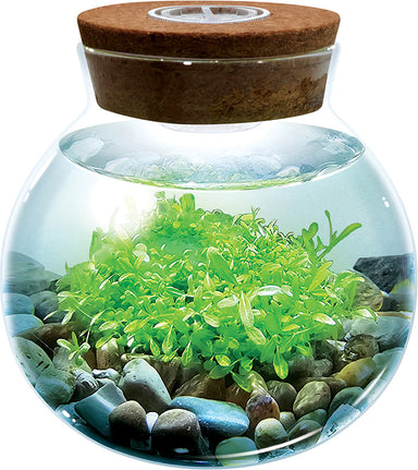WaterPlants - Create Your Own Aquascape