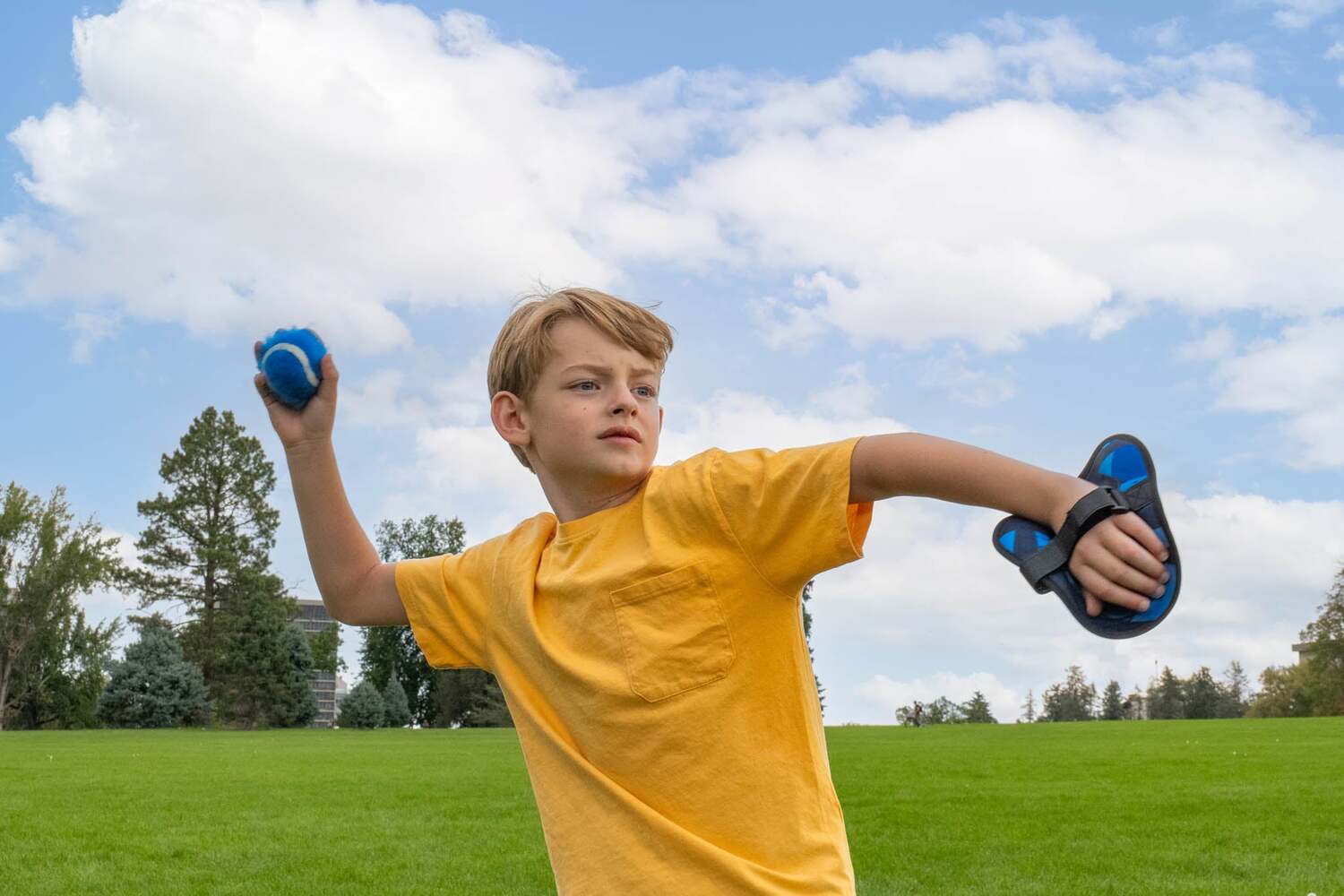 Toss & Catch Ball Game