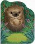 A Little Hedgehog