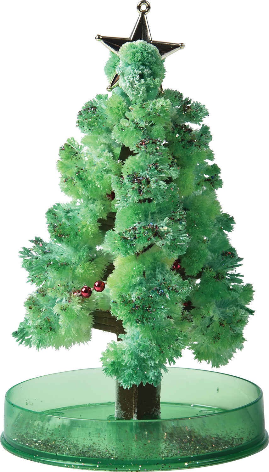 Grow a Christmas Tree