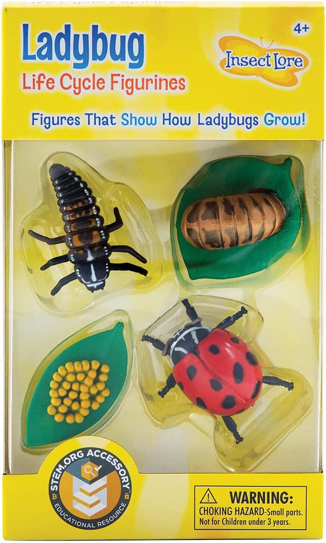 Ladybug Life Cycle Figurines