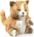 Orange Tabby Kitten Puppet