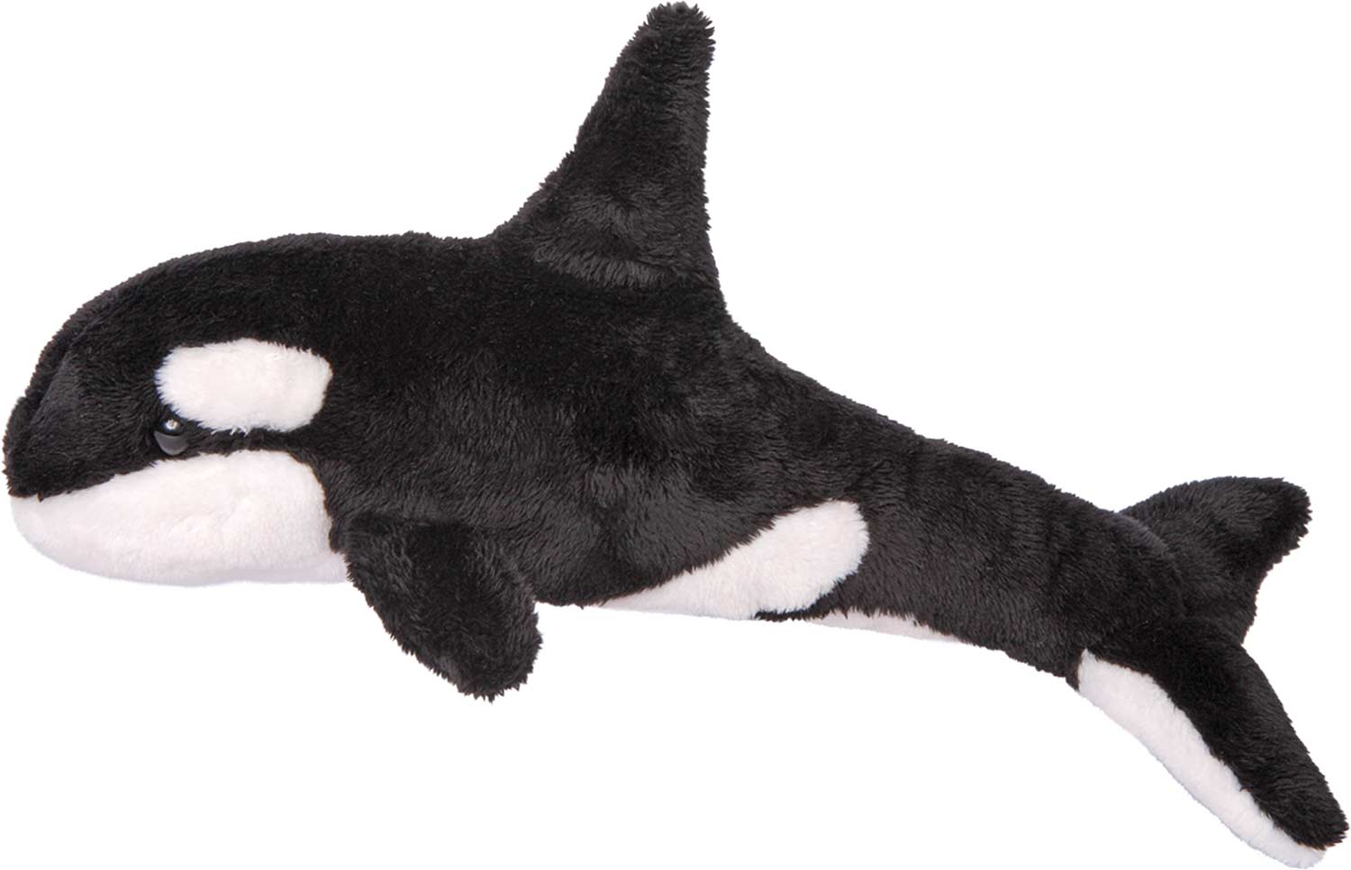 Spout Orca Whale