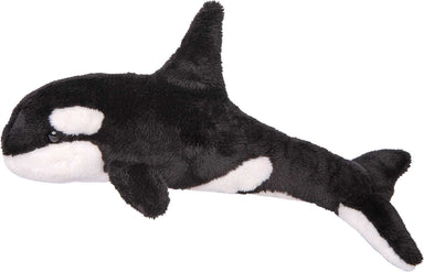 Spout Orca Whale