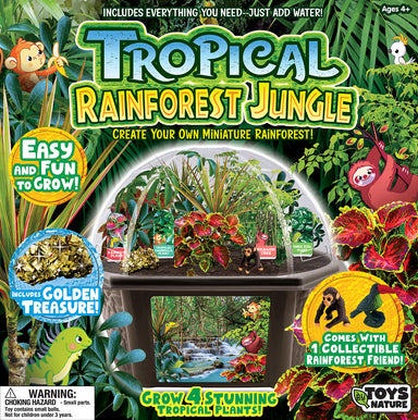 Tropical Rainforest Jungle Biosphere Terrarium